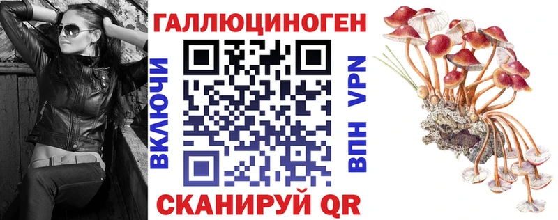 Галлюциногенные грибы GOLDEN TEACHER  Оленегорск 